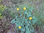 Photo DSC01872.JPG